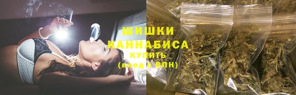 сатива Беломорск