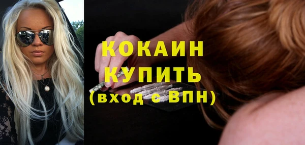 сатива Беломорск