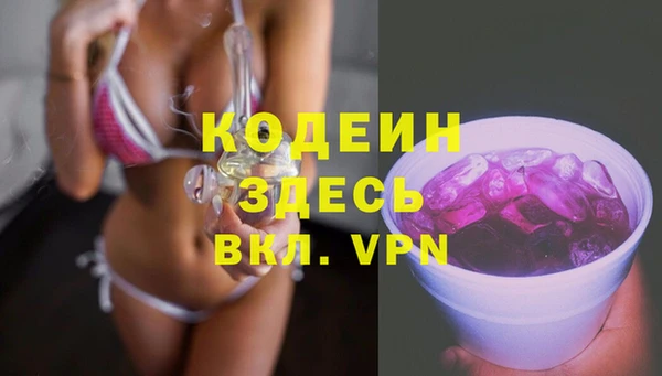 сатива Беломорск