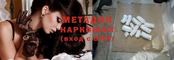 сатива Беломорск