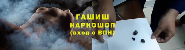 сатива Беломорск