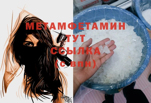 сатива Беломорск