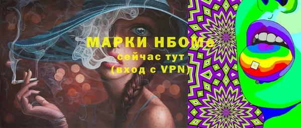 сатива Беломорск