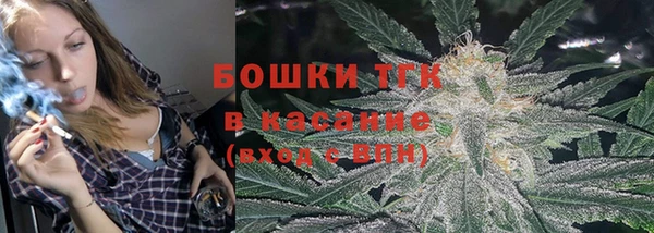 сатива Беломорск