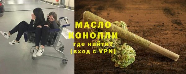 сатива Беломорск