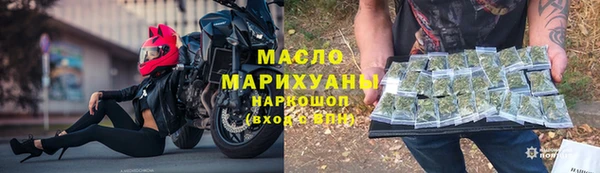 сатива Беломорск