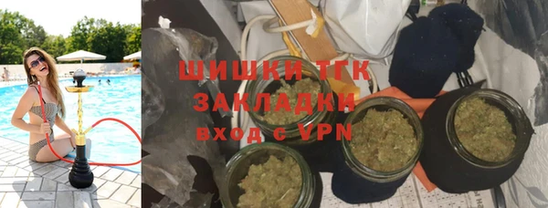 сатива Беломорск