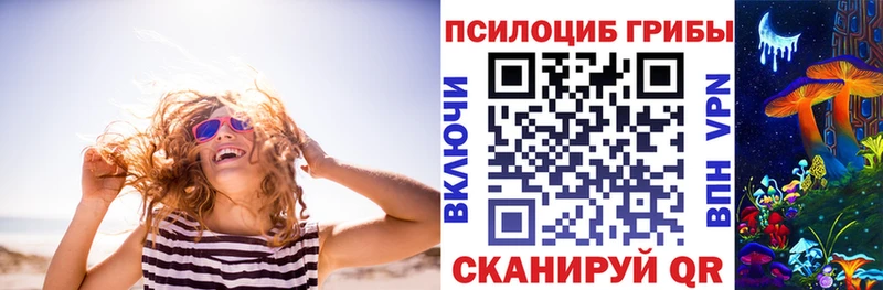 Псилоцибиновые грибы Cubensis  Пионерский 